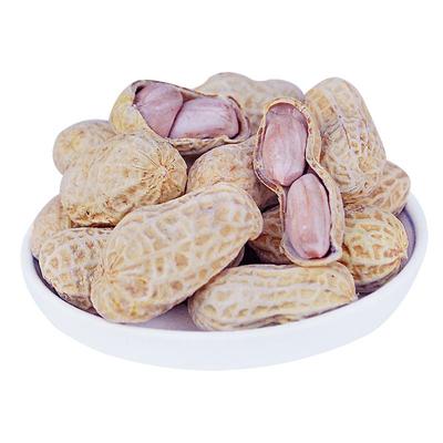 广东水煮咸干花生有嚼劲