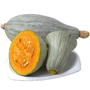 正宗新疆贵族南瓜种子官方正品沙漠丑南瓜种籽板栗味南瓜籽种大全