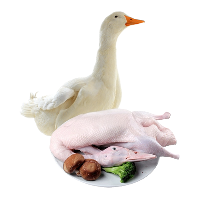 2斤装1只农家散养大白鸭子