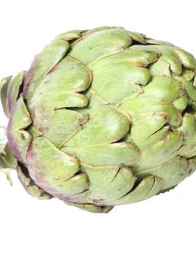 新鲜洋蓟现摘现摘产地直发