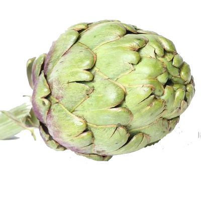 新鲜洋蓟现摘现摘产地直发