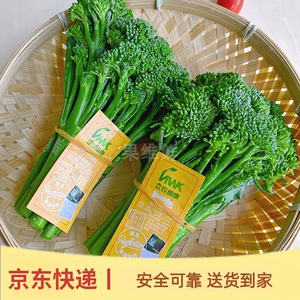 鐢 鐢 绔 潌瑗 潌瑗 潌瑗 潌瑗 叞鑻? 50g 褰揿   矞镞 矞镞 钄 钄 彍杩 彍杩 彍杩 ︾ ︾ 叞鑺 叞鑺 缁嗘 缁嗘 缁嗘缁嗘