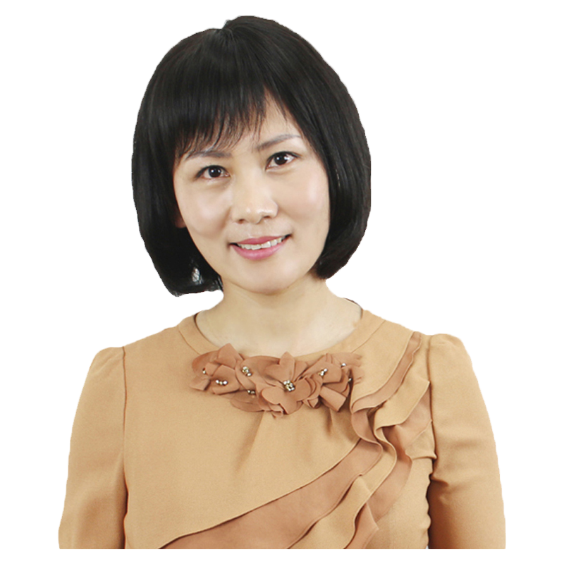 真人发丝中长梨花头中年人假发