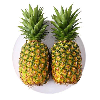海南金钻凤梨台农17号手撕菠萝新鲜水果生鲜特大整箱包邮送礼特产