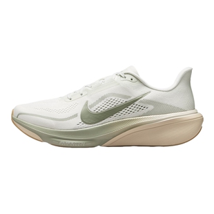NIKE耐克男鞋Pegasus 42飞马缓震透气运动公路跑步鞋 IB1873-020