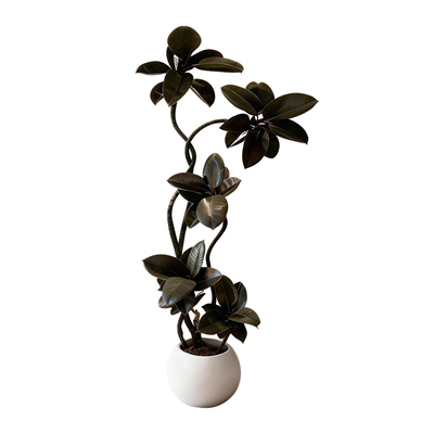 黑金刚橡皮树客厅大盆栽造型室内大型绿植四季好养阳台办公室植物