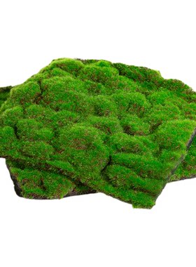 仿真苔藓草皮造景假青苔绿植墙面草坪庭院橱窗装饰场景布置微景观