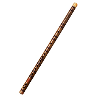 专业竹笛子风雅宫王建宏苦竹中学生成人初学E调G调F调