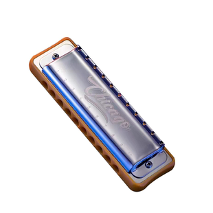 JDR嘉德瑞芝加哥chicago布鲁斯蓝调十孔口琴10孔C调初学者paddy