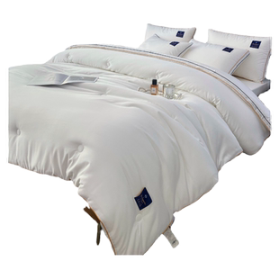 ISIKI/依诗家山宁泰抗菌冬被加厚被芯保暖轻盈A类单双人被子