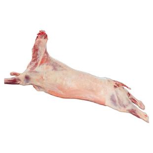 玉羊右玉羊肉全羊整只新鲜整羊35斤一整只羊烤全羊年货礼盒团购