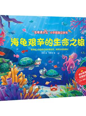 海龟艰辛的生命之旅！！
