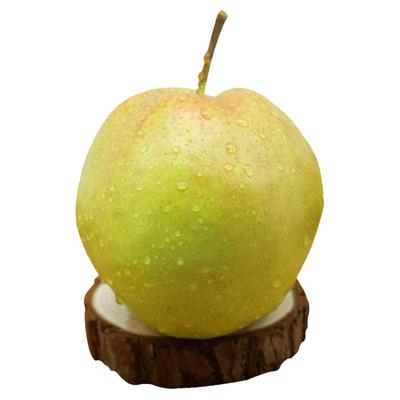 山西隰县玉露香梨脆甜多汁