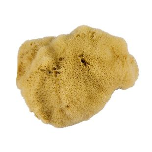天然海绵沐浴擦洗澡海绵搓泥神器儿童搓澡沐浴球男女士洗脸去角质