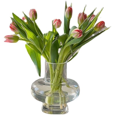 ins简约透明玻璃桌面芍药花瓶