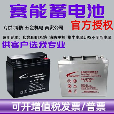 赛能蓄电池SN12V17CH12V7A17A24A38A55A65A100AH直流屏UPS电源