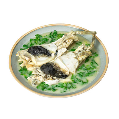 豚之杰中国江苏泰州河豚鱼豚之杰