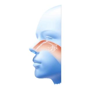 通窍鼻炎片鼻炎药鼻窦炎专用药中成药鼻塞治疗颗正品过敏性鼻炎H