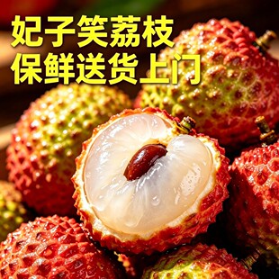 果王个头大 海南荔枝妃子笑整箱5斤装新鲜采摘送货上门NPYZ