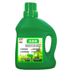 黄金流泉枫树苗专用浓缩营养液盆景栽观叶植物通用氮磷钾养花肥料