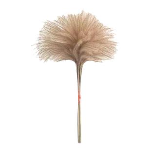 天然新款芦苇永生花束橱窗装饰摆件拂尘花麦穗干花婚庆道具包邮