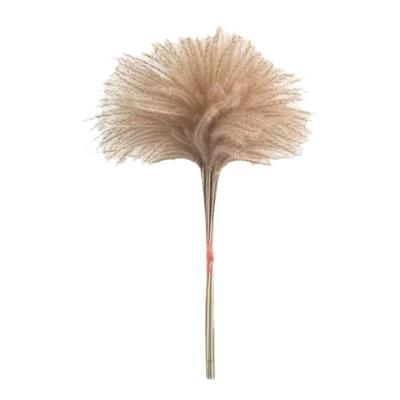 天然新款永生婚庆道具包邮芦苇