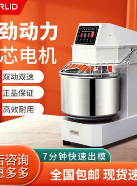 ETERLID商用和面机静音变频全自动双动双速揉面机搅面打面搅拌机