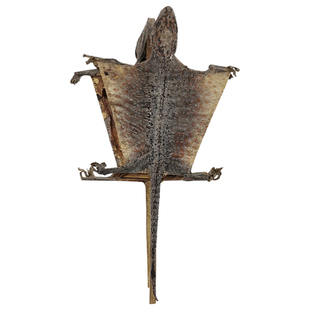 进口野生特大蛤蚧药材干货一对中药饮片蛤蚧养肺泡酒煲汤官方正品