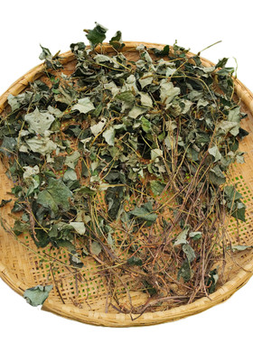 深山整颗干泡茶水野外生长鱼腥草