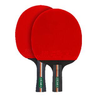 双鱼正品专业乒乓球拍初学者成人训练比赛横拍直拍八星高弹耐打