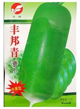 青甜一号萝卜种子青皮青肉10克