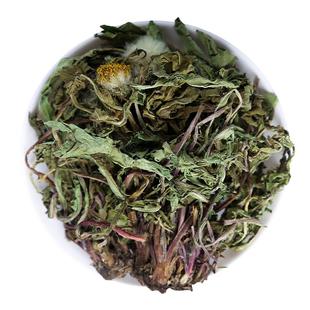 野生蒲公英500g250g100克蒲公英茶正品干货蒲公英中药材全株切段