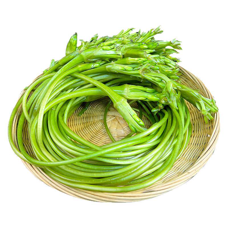 云南新鲜水性杨花当季蔬菜