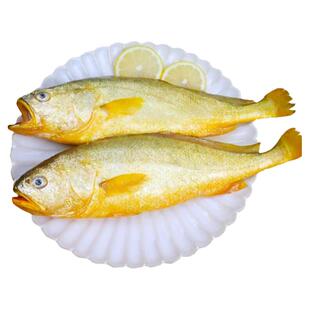 超大黄花鱼新鲜冷冻深海生鲜活水产冰鲜海鱼小黄鱼高品质独立包装