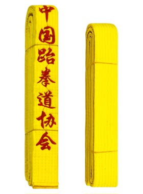 跆拳道黄带刺绣八级儿童学员