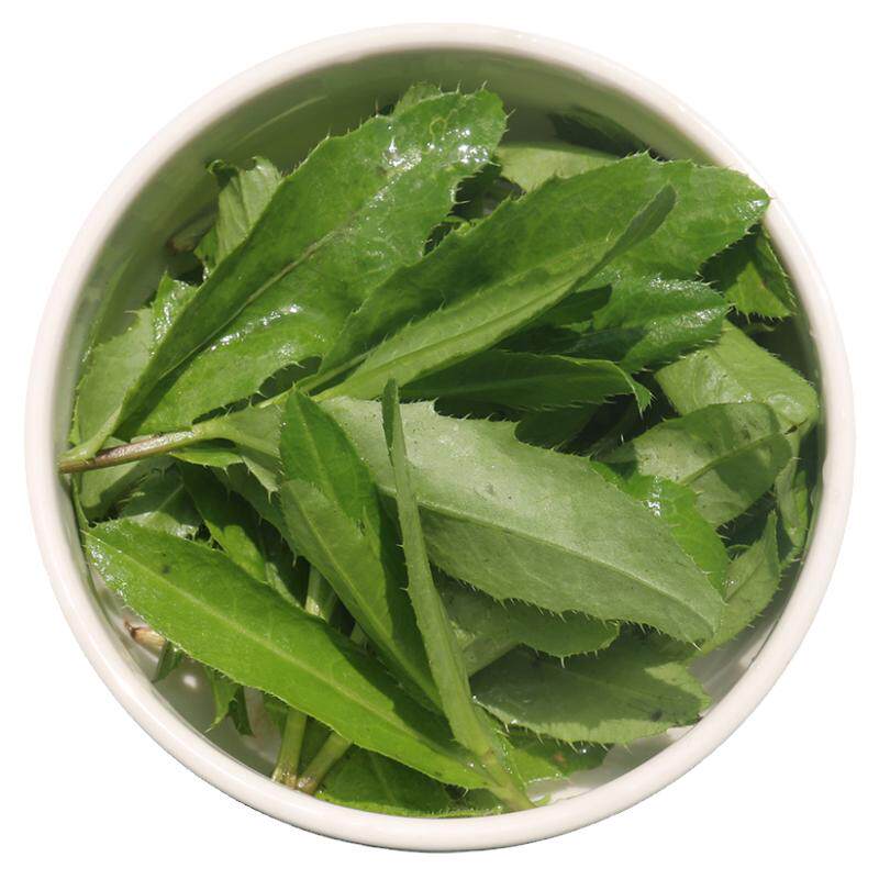 新鲜野生七七菜现挖现发天然带根带刺小蓟草刺儿菜刺角芽中药材干
