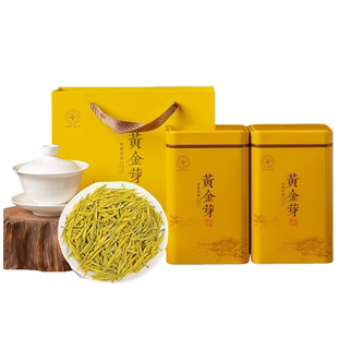 新茶黄金芽茶叶特级安吉奶白茶明前绿茶春茶散装礼盒装
