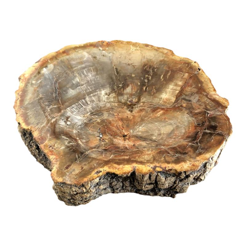 天然树化石烟灰缸摆件摆饰