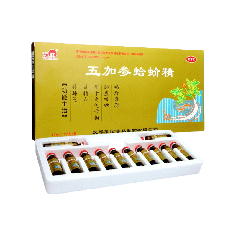 【茂祥】五加参蛤蚧精10ml*12/支