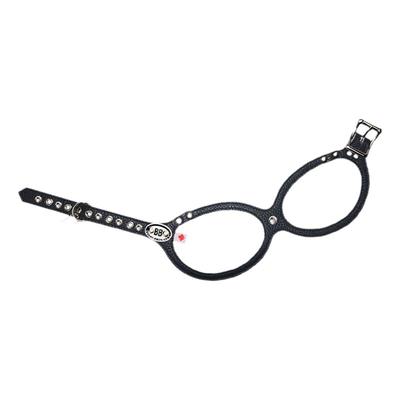 加拿大bb胸背甜酷黑色狗牵引绳