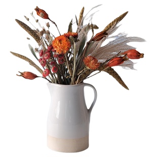 天然风干真植物栀子果干花民宿复古装饰摆设橘红色干果实插花搭配