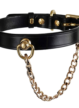 梧桐马缰皮合金中性项圈定制尺寸