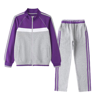 校服套装现货学生深紫色运动服短袖T恤衬衣附小棒球服小学冲锋衣