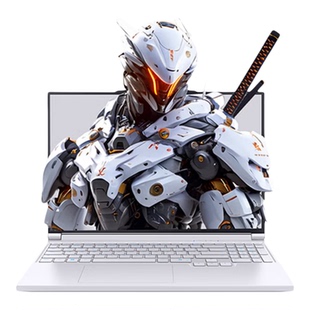 机械革命 极光X 蛟龙16PRO 旷世16pro 高刷 电竞游戏笔记本电脑