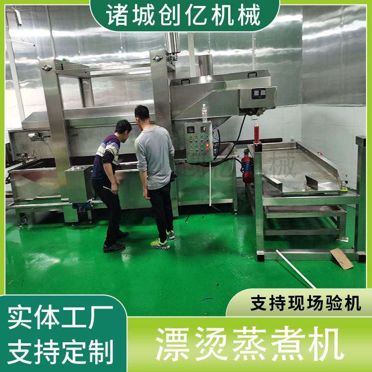 镇店之宝全自动蒸汽蔬菜漂烫机 现货果蔬杀青机带提升 海鲜蒸煮机,清洗/食品/商业设备,预煮机,淘宝优惠券,粉丝福利购,淘宝优惠卷