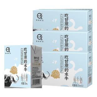 【新鲜日期】认养吃甘蔗的水牛奶4.0蛋白200ml*10盒*3箱早餐牛奶