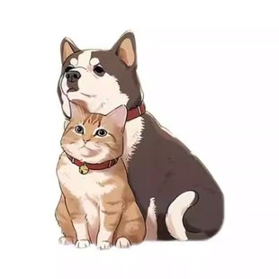 反对伤害动物车贴呼吁保护动物车贴贴纸个性创意车贴防水宠物贴