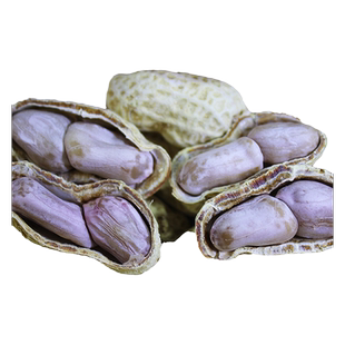 梅州客家特产花生平远东石花生水煮日晒东石秋花生带壳咸干花生米