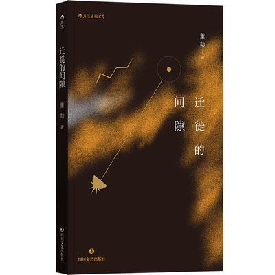 后浪正版现货  迁徙的间隙 95后董劼短篇小说集中国当代原创青春文学书籍