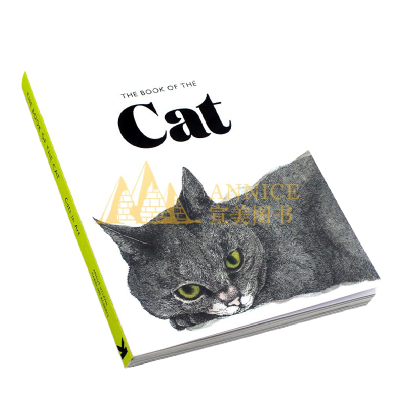 现货 The Book of the Cat Cats in Art  猫之书猫的艺术 原版进口猫插图艺术绘画作品集画册